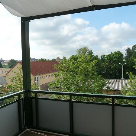 Fewo Dresden-Trachau Extérieur photo